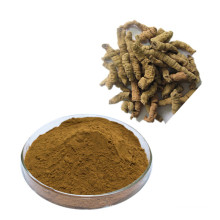 Chinese factory direct supply of Chinese herbal medicine Morinda officinalis extract